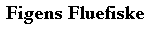 banner-kdd