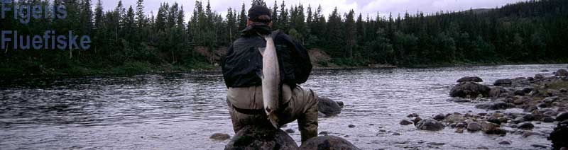 Figens Fluefiske