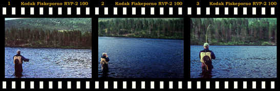 tobben