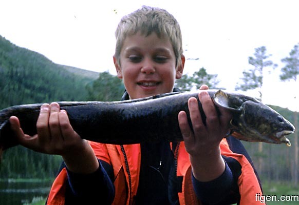 big_000710-trysil-eirik-lake.jpg