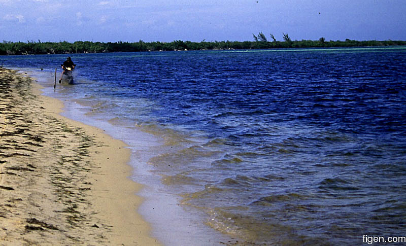 big_010218-mexico-cozumel-julern_moped.jpg