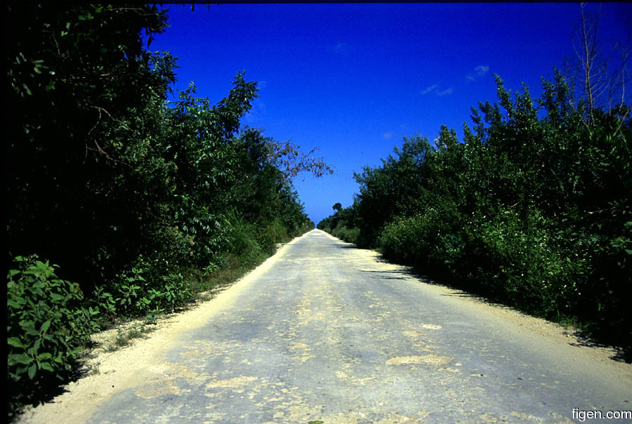 big_010218-mexico-cozumel-magic_road.jpg