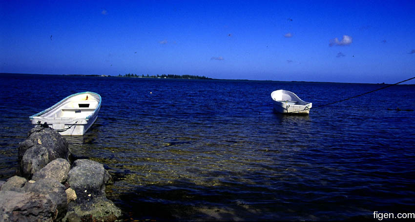 big_010218-mexico-cozumel-magic_road_end.jpg