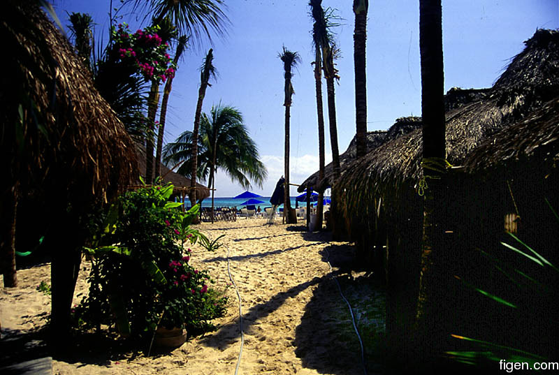 big_010219-mexico-playa-corto_maltes2.jpg