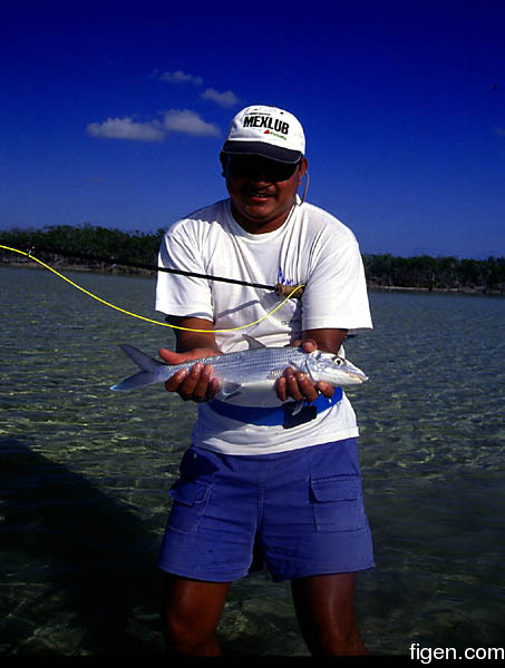 big_010220-mexico-punta_allen-willy_holding.jpg