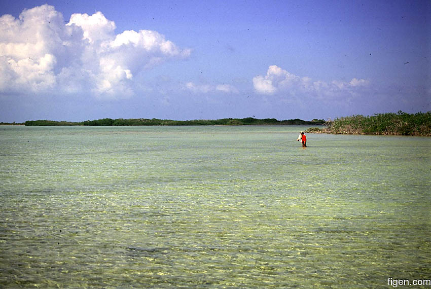 big_010221-mexico-punta_allen-julern_benito.jpg