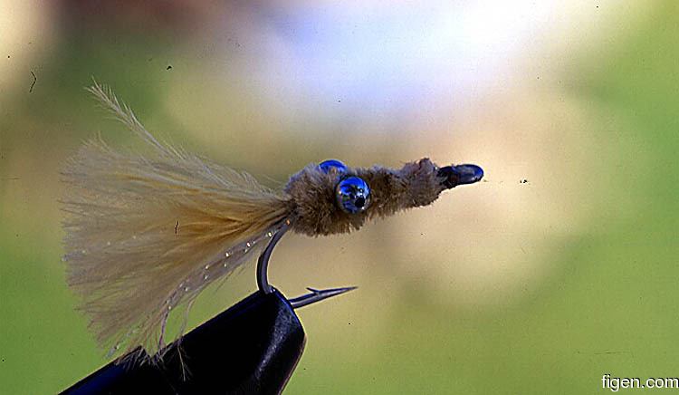 big_010222-mexico-punta_allen-fly_turd.jpg