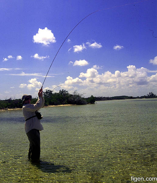 big_010222-mexico-punta_allen-julern_bone.jpg