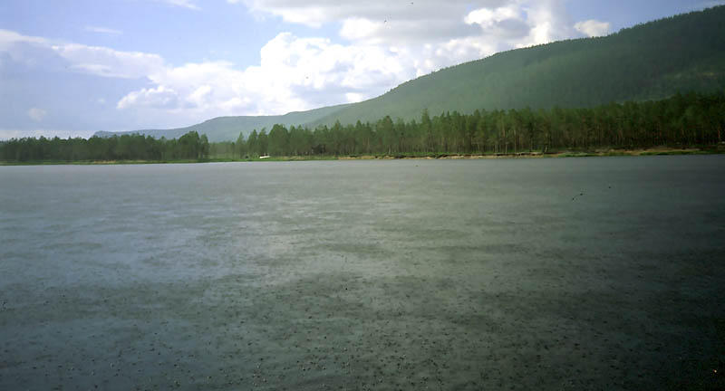 big_010711-trysil-regn.jpg