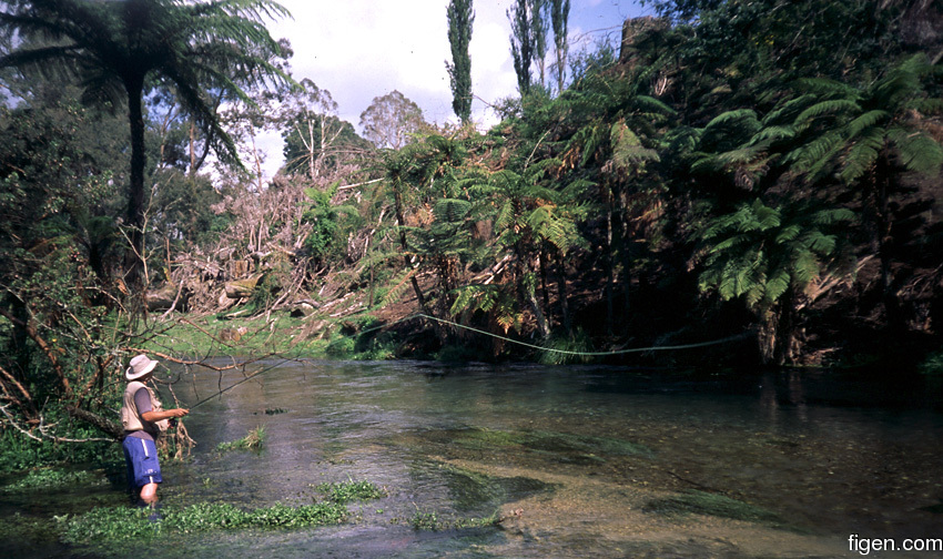 big_020117-new_zealand-litenbekk-thomas2.jpg