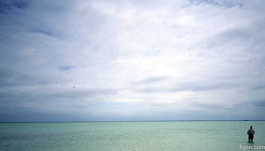 big_020304-mexico-punta_allen-dariusz_flat.jpg