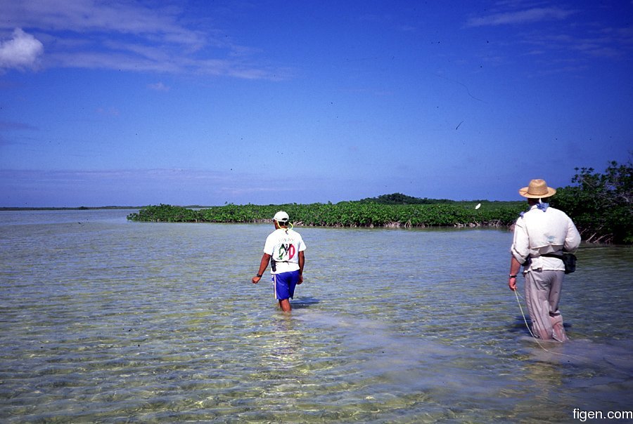 big_020306-mexico-punta_allen-dariusz_laguna.jpg