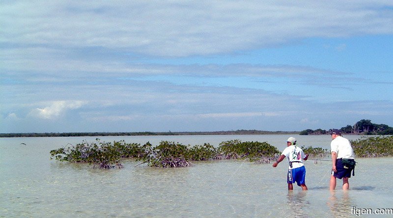 big_020306-mexico-punta_allen-lagune-figen-potro-scouting2-DB.jpg