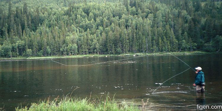 big_020702-Trysil-Svingen-Paal2.jpg