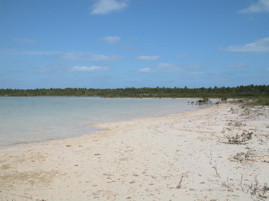 big_040216-Bahamas-Abaco-Dumpa-DB.jpg