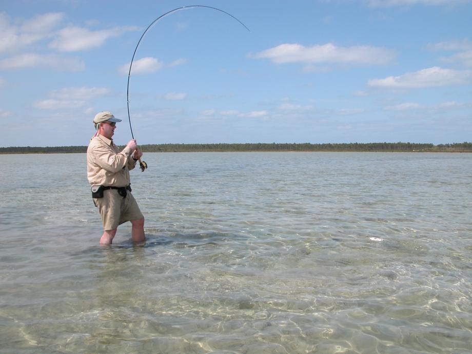 big_040216-Bahamas-Abaco-Purka-Figen-kjorer2-DB.jpg