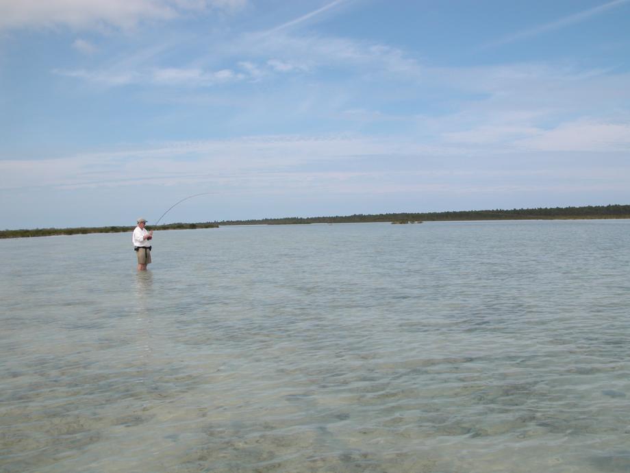 big_040217-Bahamas-Abaco-Purka-Figen-kjorer-DB.jpg
