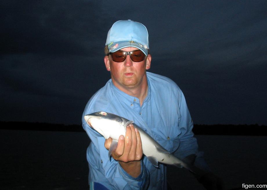 big_040217-Bahamas-Abaco-Purka-Julern-fisk.jpg