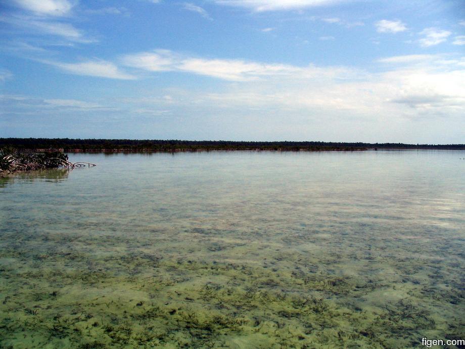 big_040217-Bahamas-Abaco-Purka-channel.jpg