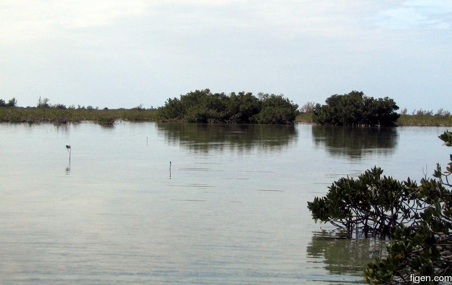 big_040217-Bahamas-Abaco-Purka-lagune.jpg