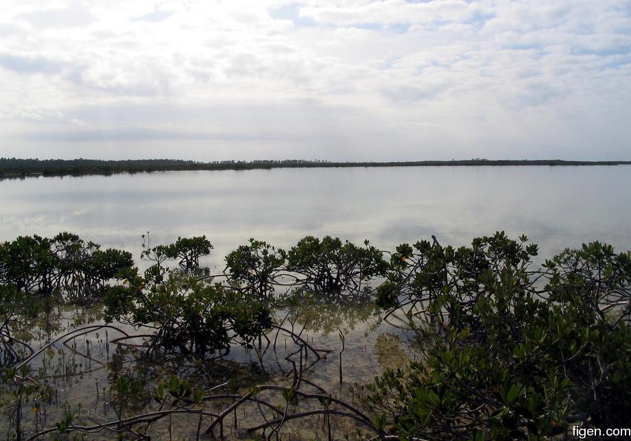 big_040217-Bahamas-Abaco-Purka-quiet_morning.jpg