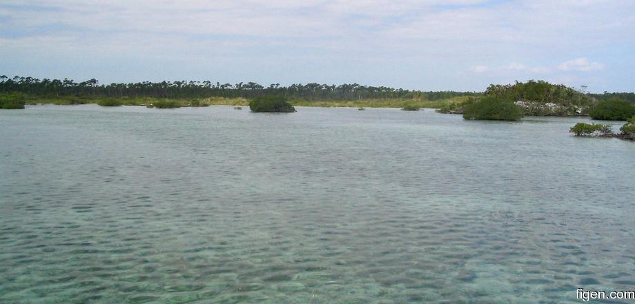 big_040220-Bahamas-Abaco-Snake_Cay2.jpg