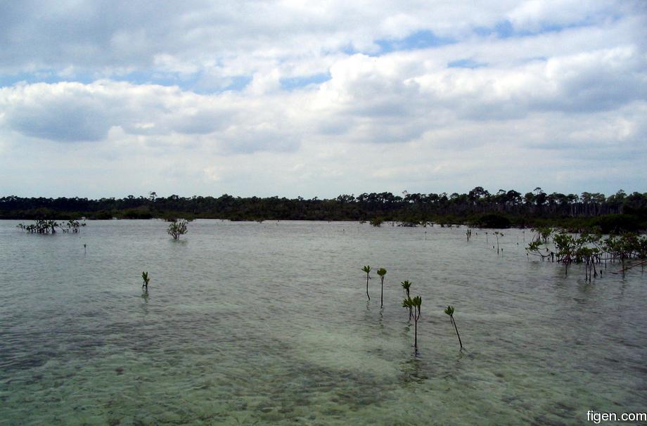 big_040220-Bahamas-Abaco-Snake_Cay3.jpg