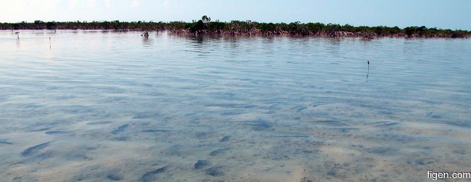 big_040222-Bahamas-Abaco-Purka-school-DB.jpg