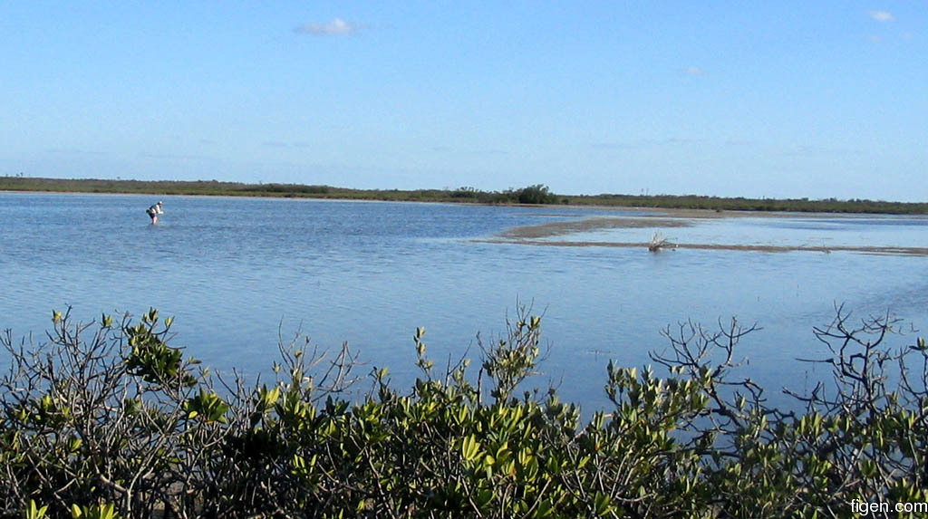 big_060304-Bahamas-Abaco-stimplyndrar.jpg