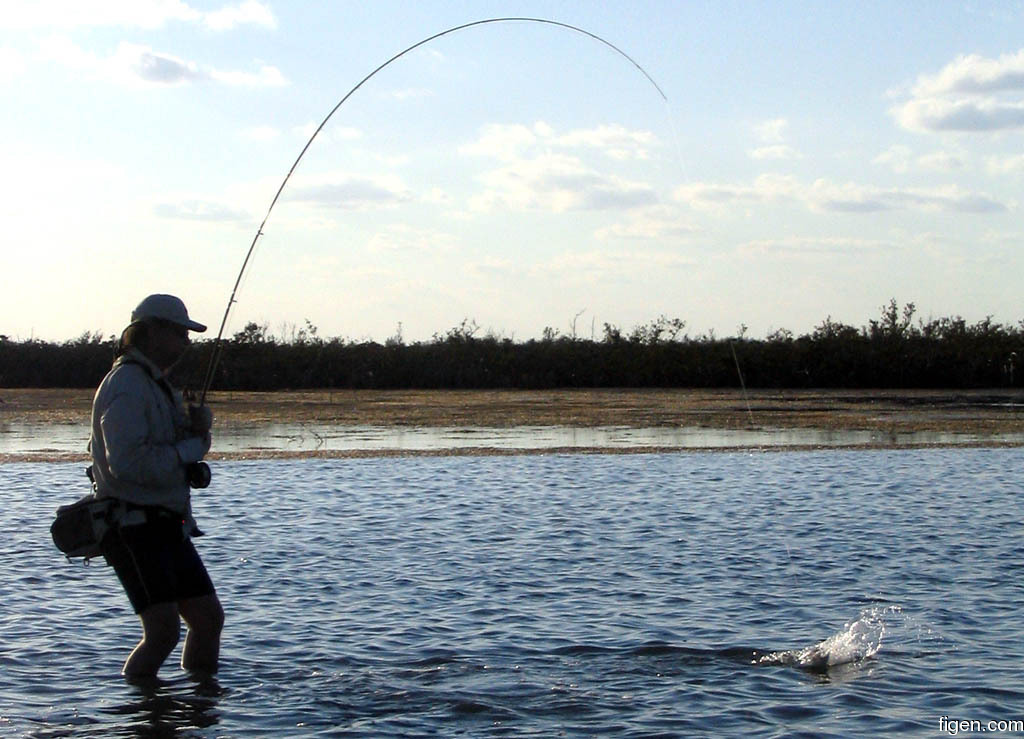 big_060304-Bahamas-Abaco-stimplyndrar3.jpg