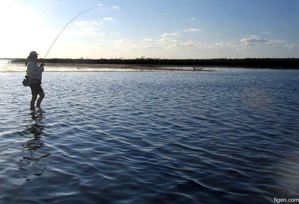 big_060304-Bahamas-Abaco-stimplyndrar4.jpg