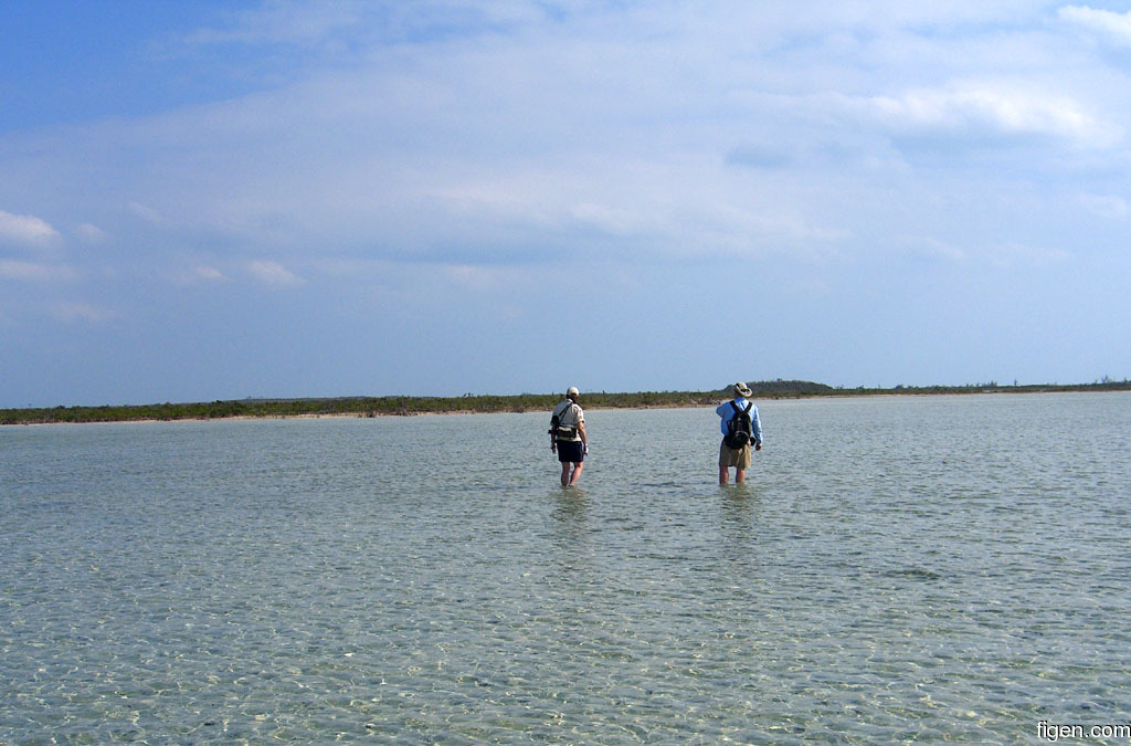 big_060305-Bahamas-Abaco-Figen_og_Dariusz_rusler-CJjpg.jpg