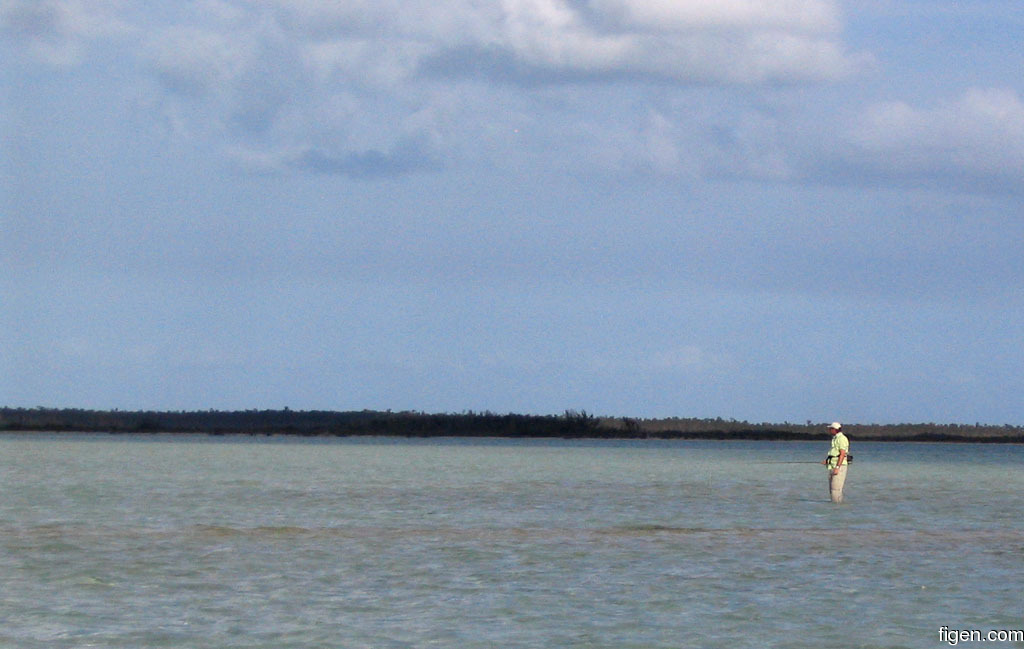 big_060309-Bahamas-Abaco-Dariusz-flat.jpg