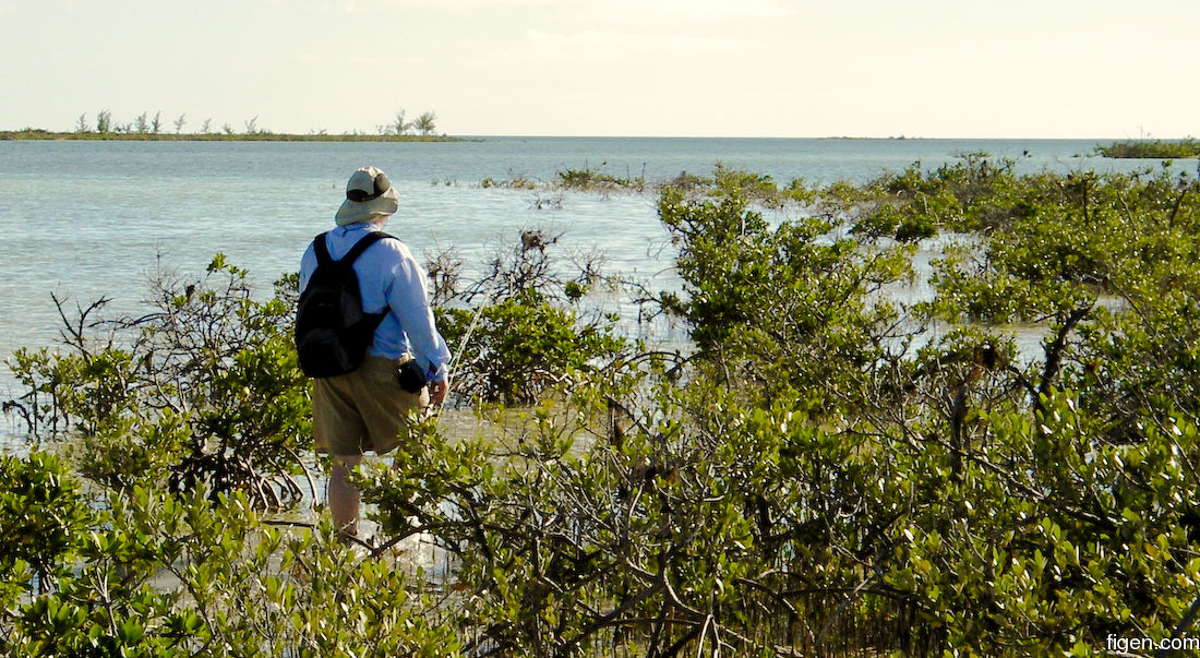 big_061125-Bahamas-Abaco-Figen-walking2-CJ.jpg