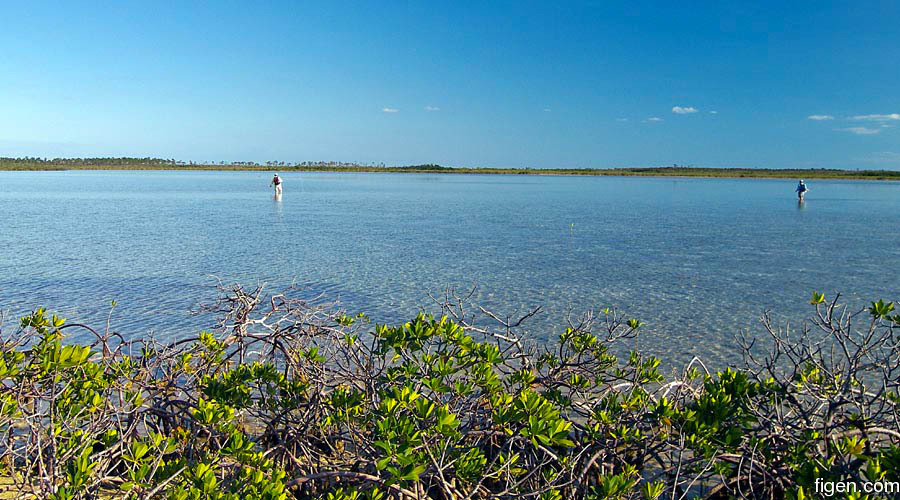 big_070217-Abaco-Amund-Julern-speider.jpg
