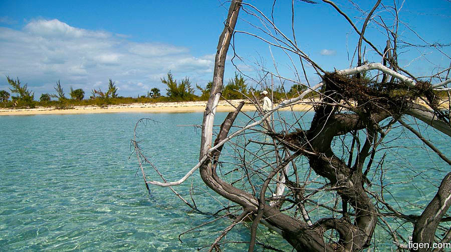 big_070219-Abaco-Hestesko-Julern.jpg