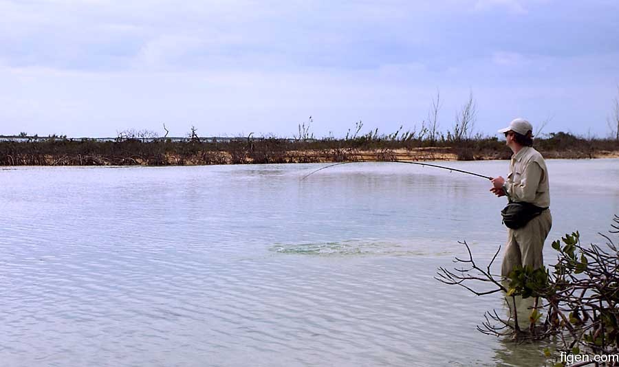 big_070219-Bahamas-Abaco-Julern-kjorerx.jpg
