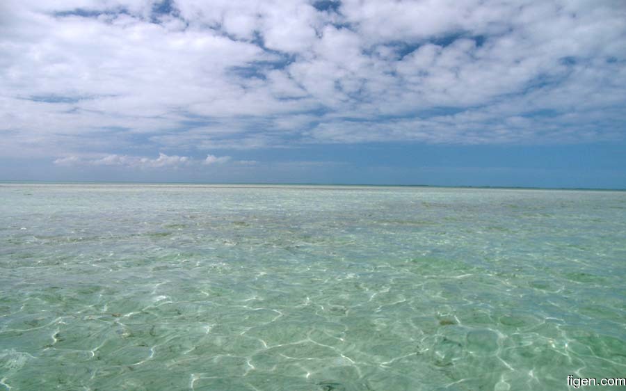 big_070220-Bahamas-Abaco-endless-flats.jpg