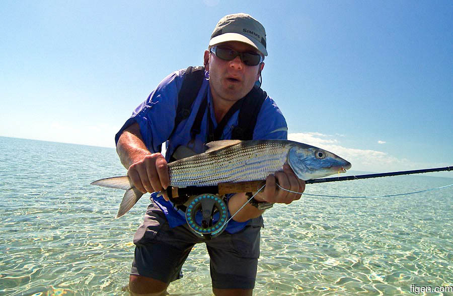 big_070221-Abaco-amund-jomfrufisk.jpg