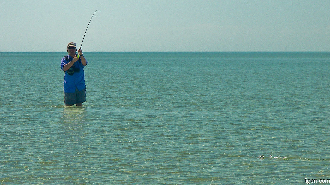big_070221-Abaco-amund-jomfrufisk5.jpg