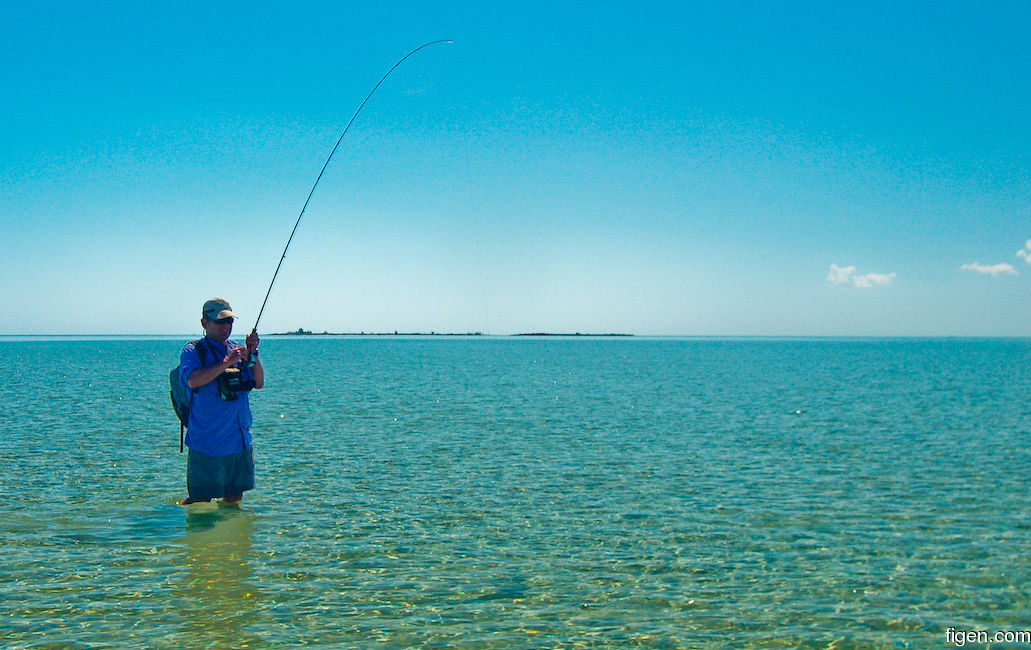 big_070221-Abaco-amund-jomfrufisk6.jpg