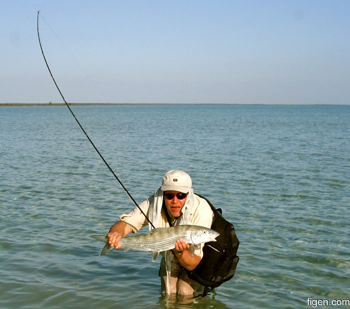 big_070221-Bahamas-Abaco-Dariusz-storfisk2-DB.jpg