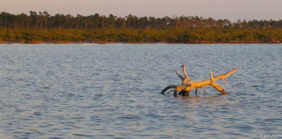 big_070221-Bahamas-Abaco-Javla-stokk.jpg