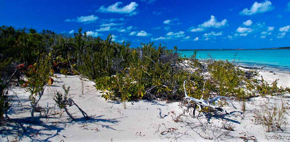 big_070222-Bahamas-Abaco-tropical-colors-AF.jpg