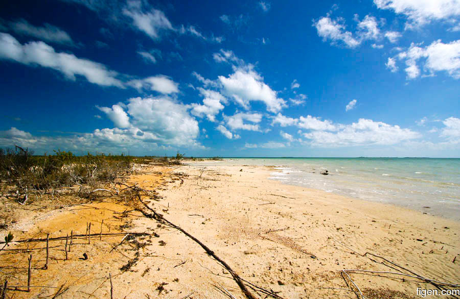 big_070222-Bahamas-Abaco-tropical-colors-flat-DB.jpg