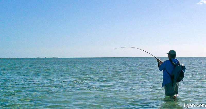 big_070223-Abaco-amund-bonefish2.jpg