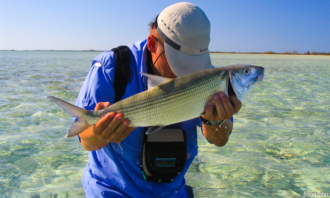 big_070223-Bahamas-Abaco-Amund-bukker.jpg