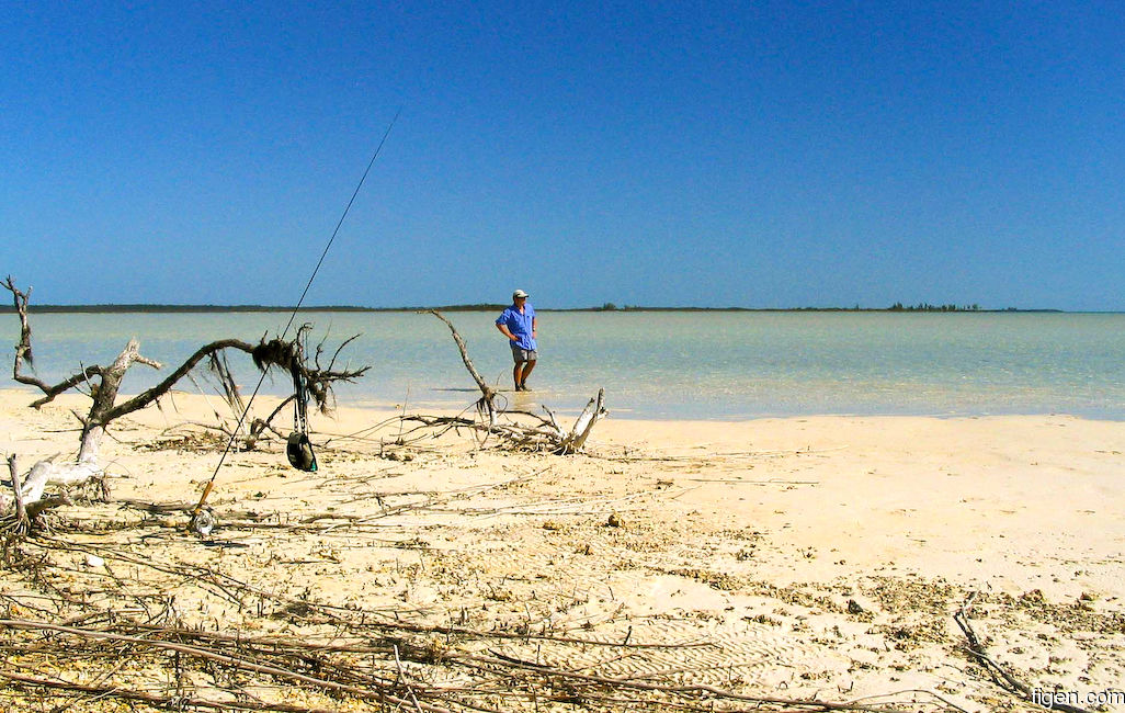 big_070223-Bahamas-Abaco-Amund-speider-alene.jpg