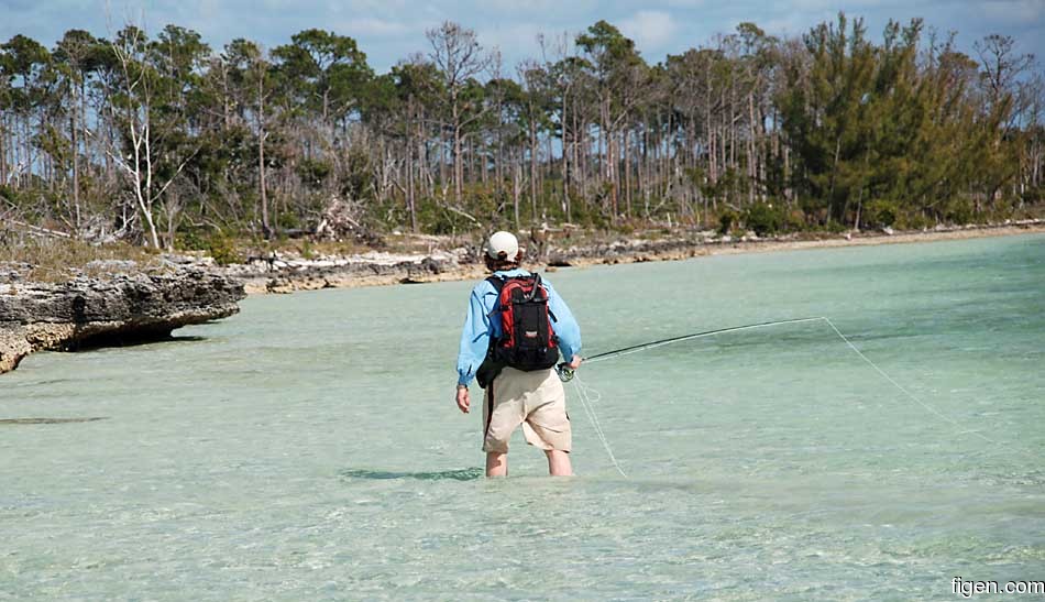 big_070224-Bahamas-Abaco-Julern-shoreline-AF.jpg