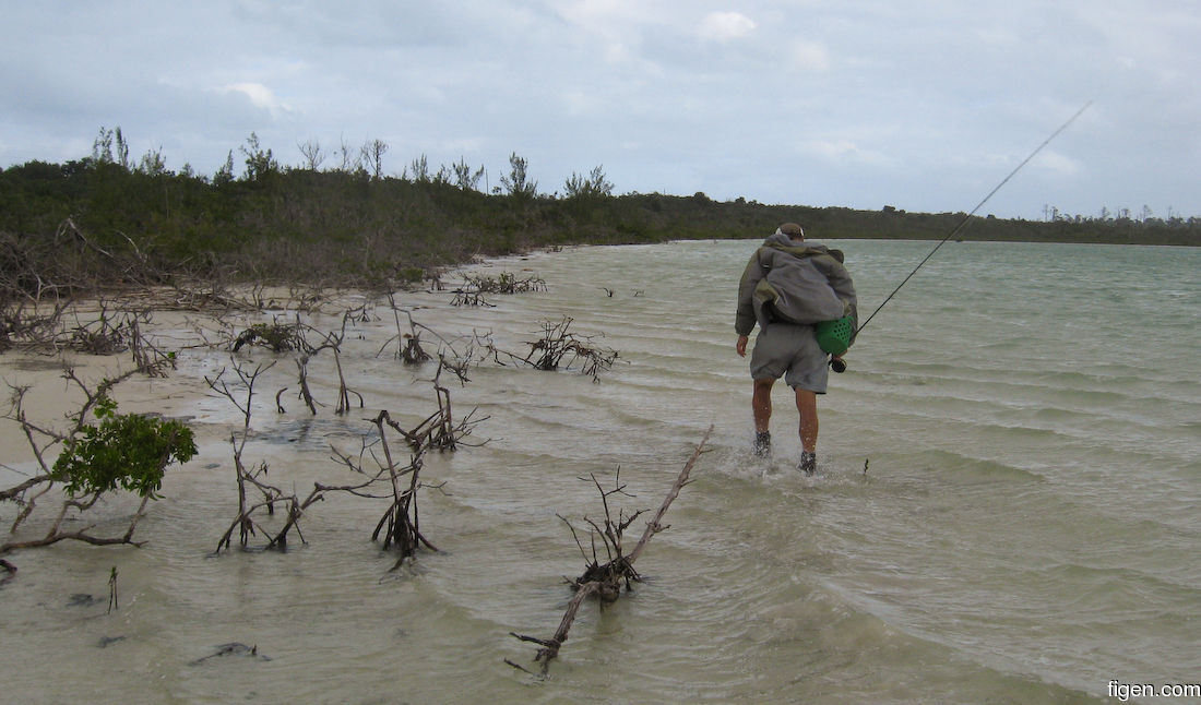 big_071030-Abaco-Dumpa-Frank2.jpg